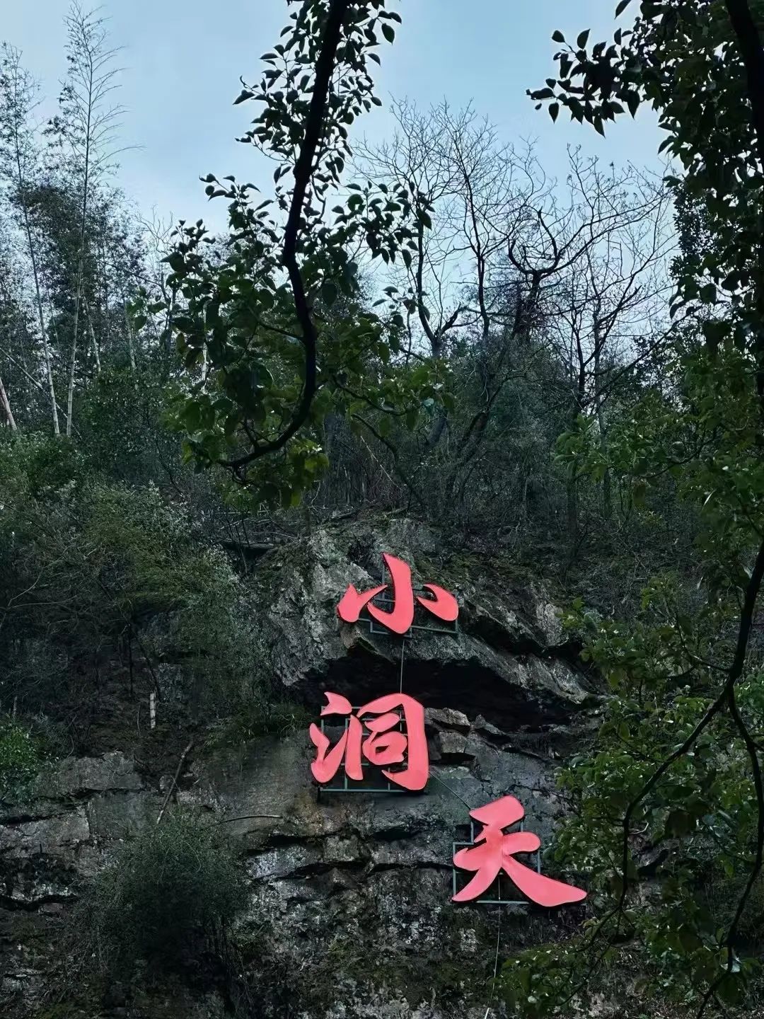 DƬ
